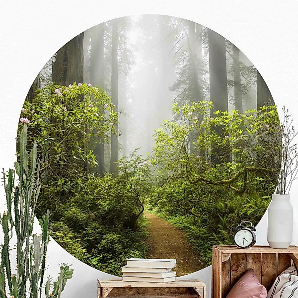 Runde Fototapete selbstklebend Nebliger Waldpfad günstig online kaufen