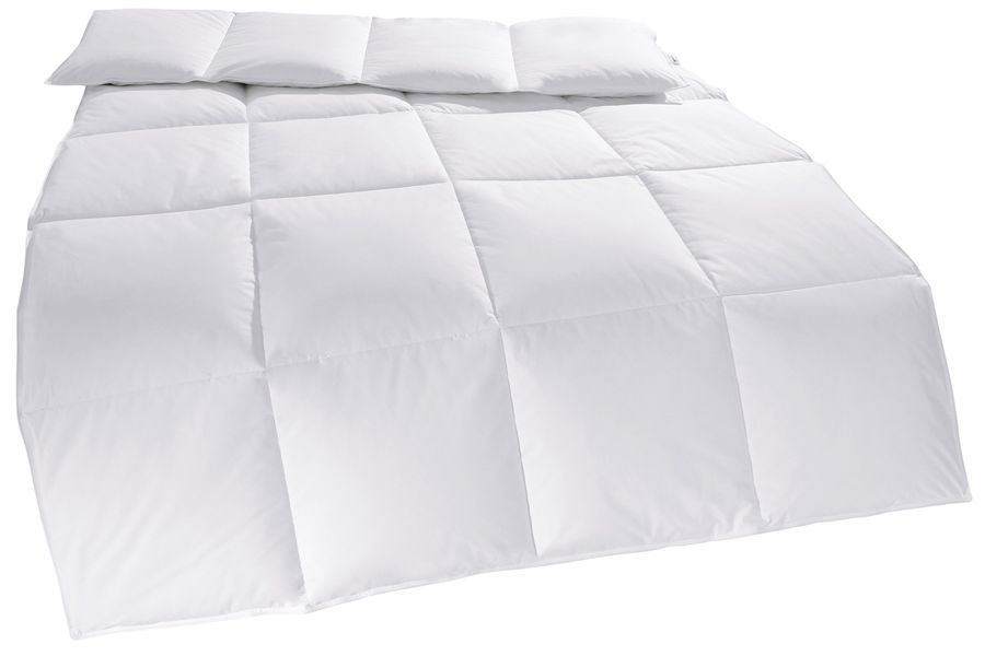 my home Daunenbettdecke "Cyra, Bettdecke 135x200 cm, 155x220 cm" normal Fül günstig online kaufen