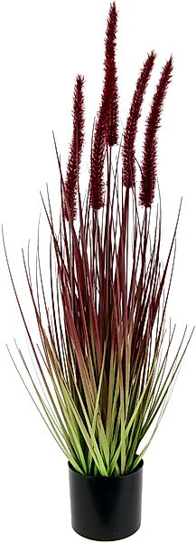 Kunstpflanze Fuchsschwanzgras, I.GE.A., Höhe 65 cm, günstig online kaufen