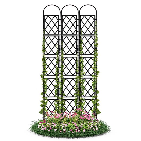Gartenwelt Riegelsberger Rankhilfe Wandspalier mit Bogen günstig online kaufen