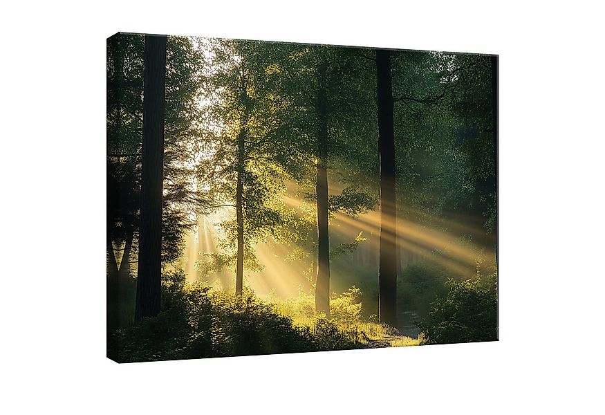 Wallarena Leinwandbild Wald Natur Sonne Landschaft Wandbilder XXL Wand Deko günstig online kaufen