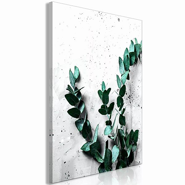 Wandbild - Eucalyptus Scent (1 Part) Vertical günstig online kaufen