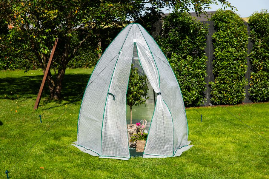 50NRTH Foliengewächshaus Olive, BxTxH: 160 x günstig online kaufen