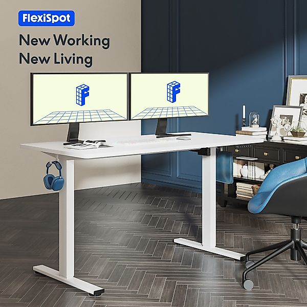 FLEXISPOT Schreibtisch Basic-Series Elektrisch höhenverstellbarer Schreibti günstig online kaufen