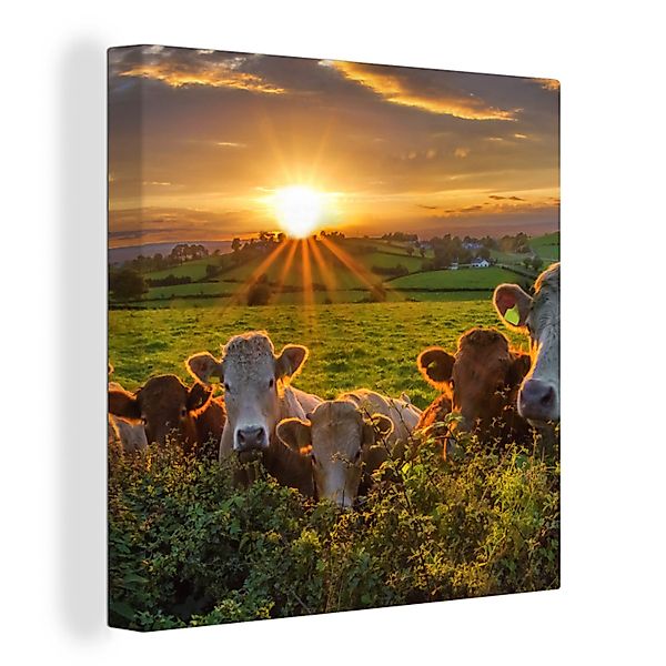 OneMillionCanvasses® Leinwandbild Sonne - Kuh - günstig online kaufen