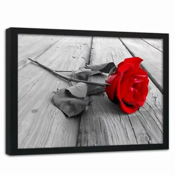 FEEBY® Kunst Red Rose Leinwandbilder bunt Gr. 60 x 40 günstig online kaufen