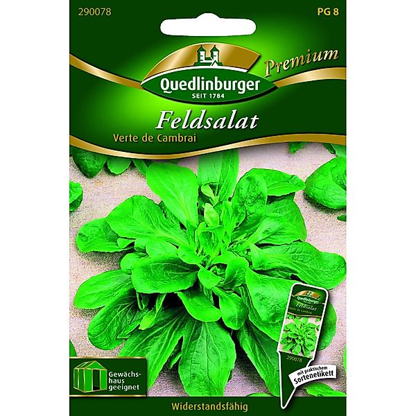 Quedlinburger Feld Salat ''Verte de Cambrai'' günstig online kaufen