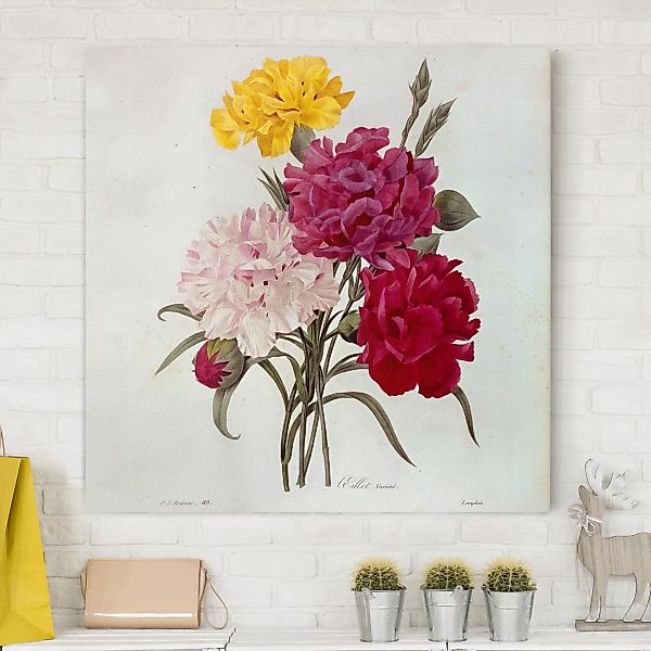 Leinwandbild Blumen - Quadrat Pierre Joseph Redouté - Nelken günstig online kaufen