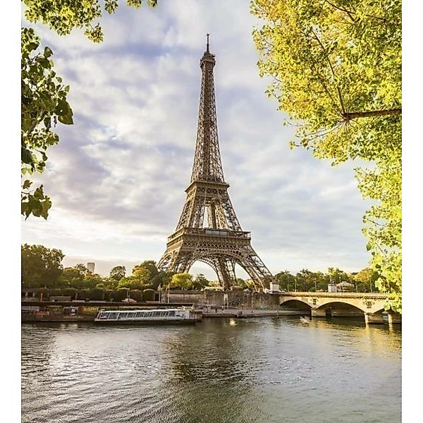 Fototapete SIENE IN PARIS  | MS-3-0028 | Grün | Digitaldruck auf Vliesträge günstig online kaufen