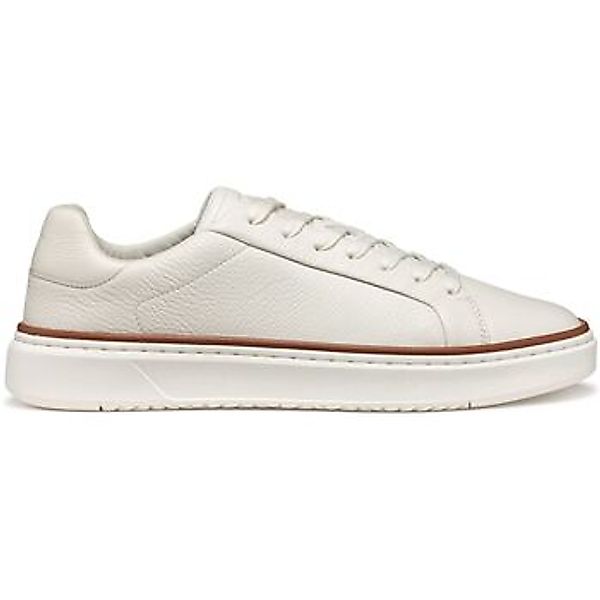 Geox  Sneaker Baskets  Zackerty A günstig online kaufen