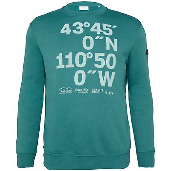 S.Oliver  Sweatshirt Sweatshirt für Erwachsene günstig online kaufen