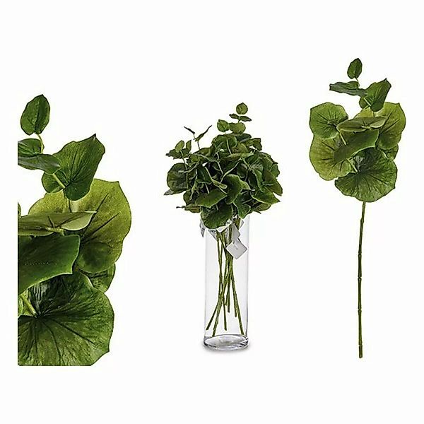 Dekorationspflanze Bettlaken Kunststoff (75 Cm) günstig online kaufen