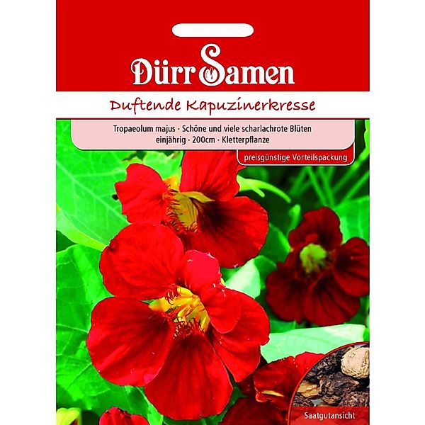 Dürr Samen Kapuzinerkresse Rot Rankend Einjährig Saatgut günstig online kaufen
