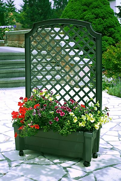 KHW Spalier, mit Pflanzkasten, BxTxH: 79x35x134 cm günstig online kaufen
