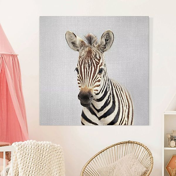 Leinwandbild Baby Zebra Zoey günstig online kaufen