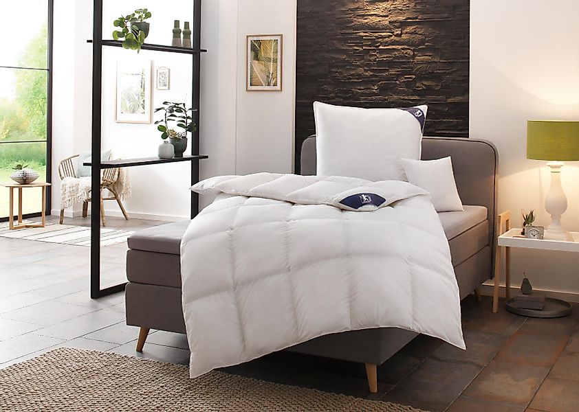 SPESSARTTRAUM Gänsedaunenbettdecke + Kopfkissen Premium******, Füllung: günstig online kaufen