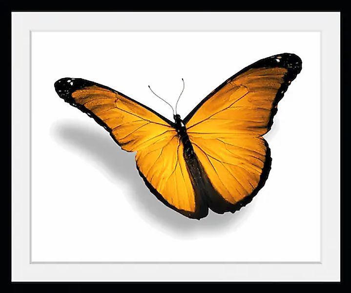 queence Bild »Maria 2.0« Insekten   Kunst   Schmetterlinge 1 Stk. tlg. HD P günstig online kaufen