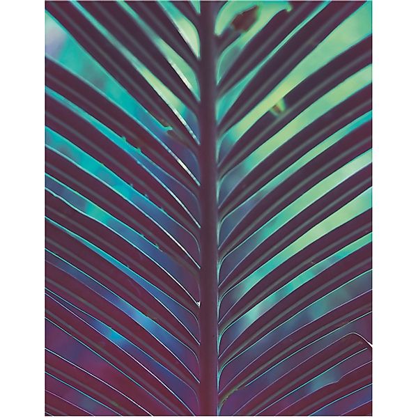 Komar Bild "Hide" Blätter  Pflanzen 1 Stk. tlg. Wandbild zur Dekoration - o günstig online kaufen