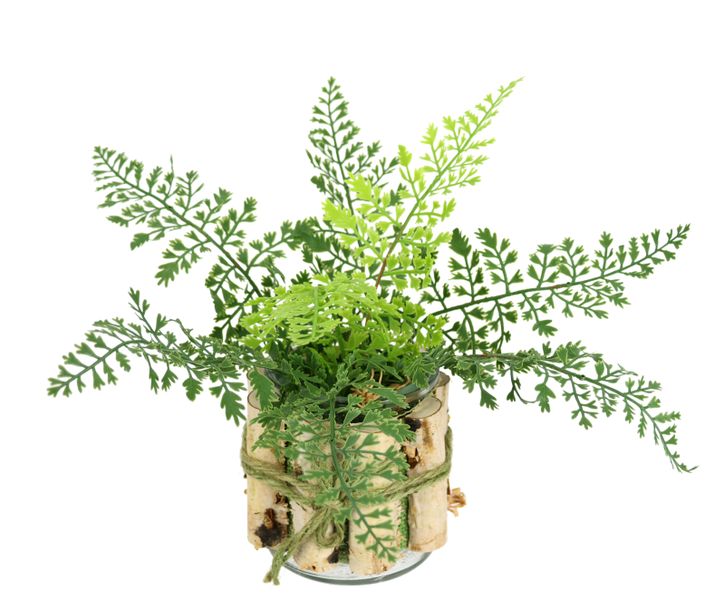 I.GE.A. Kunstpflanze "Farnbusch in Pflanzschale" Vogel Deko Pflanze Grünpfl günstig online kaufen