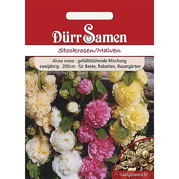 Dürr Samen Stockrosen/ Malven Zweijährig Saatgut günstig online kaufen