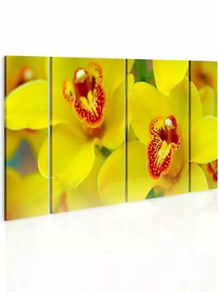 artgeist Wandbild Orchids - intensity of yellow color gelb Gr. 60 x 30 günstig online kaufen