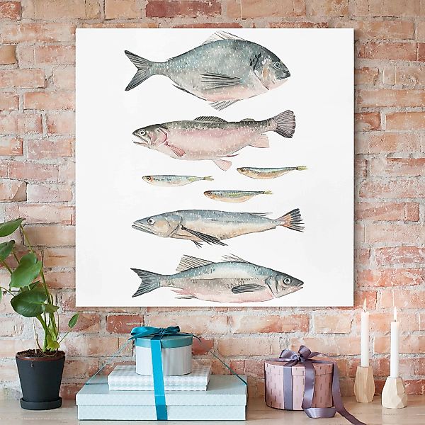 Leinwandbild Tiere - Quadrat Sieben Fische in Aquarell II günstig online kaufen