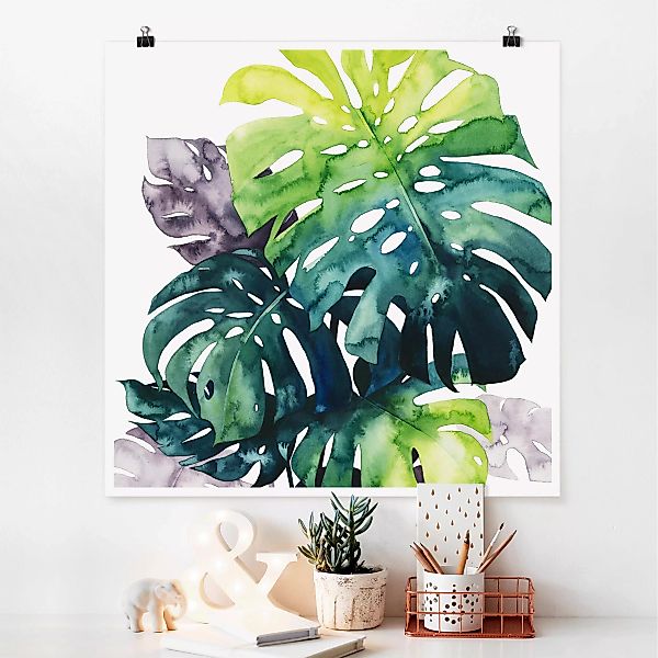 Poster - Quadrat Exotisches Blattwerk - Monstera günstig online kaufen