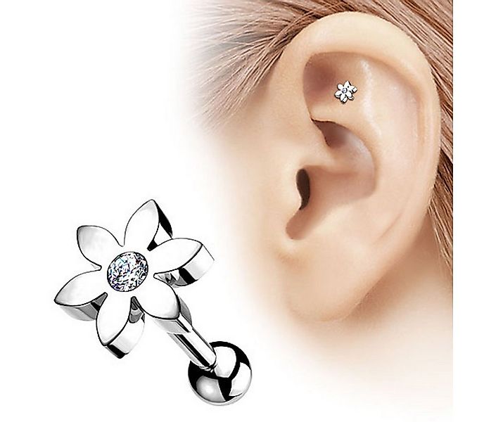Taffstyle Piercing-Set Ohrpiercing Tragus Helix Cartilage Piercing Stecker günstig online kaufen