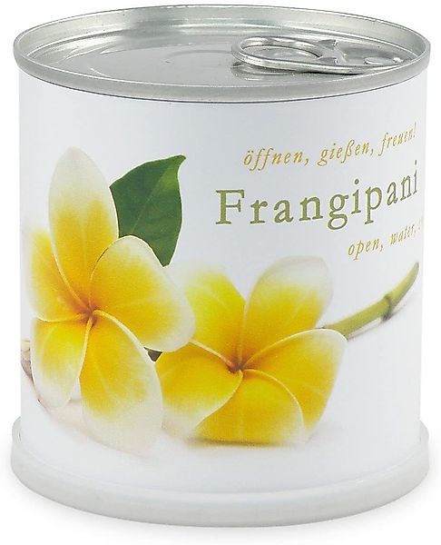 MacFlowers® Anzuchttopf Frangipani Plumeria Blumen in günstig online kaufen