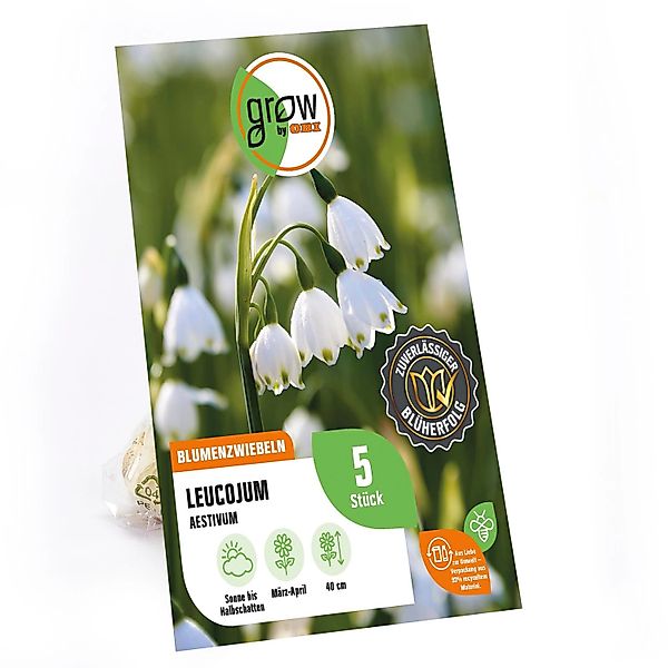 GROW by OBI Leucojum Aestivum Weiß 5 Stück günstig online kaufen