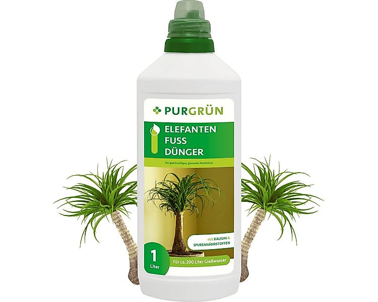 Purgrün Universaldünger Elefantenfuß Dünger, NPK 10+4+6, stärkt Widerstands günstig online kaufen