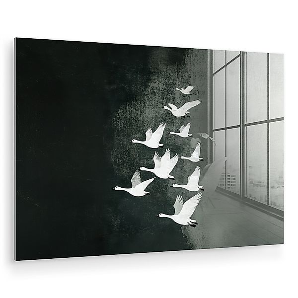 MuchoWow Acrylglasbild Vogel - Japandi - günstig online kaufen