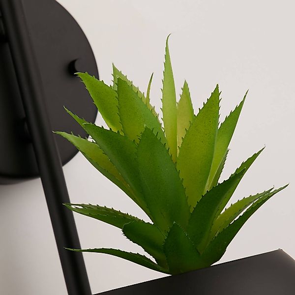 Wandleuchte Makarius, schwarz/weiß, Glas, Pflanzenampel günstig online kaufen