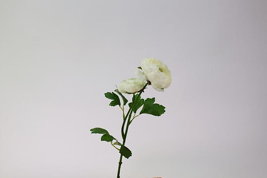 Kunstblume Ranunkel 49,5 cm lang Weiss / Grün von Werner Voss günstig online kaufen