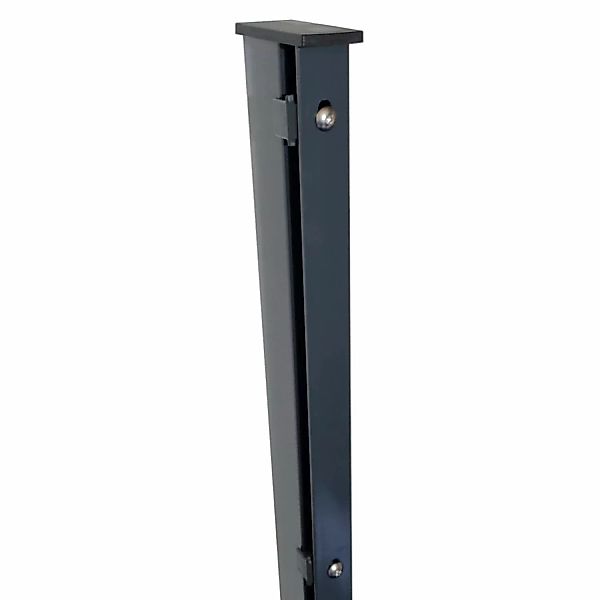 Zaunpfosten für Doppelstabmatten Abdeckleiste Anthrazit 6 cm x 4 cm x 220 c günstig online kaufen