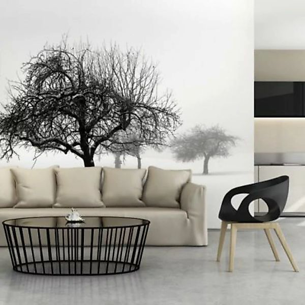 artgeist Fototapete Winter - Bäume schwarz/weiß Gr. 250 x 193 günstig online kaufen