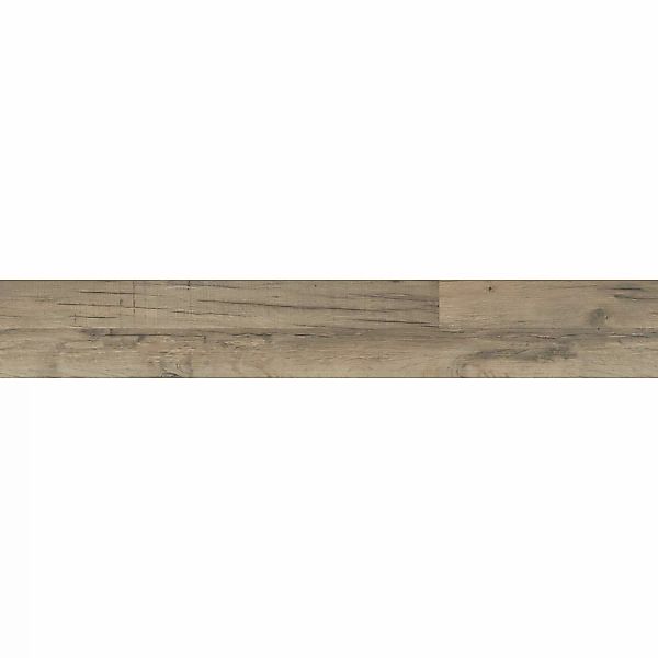 Living by Haro Laminat 7 mm Eiche Graphit günstig online kaufen