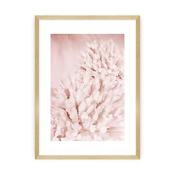 Poster Pastel Pink II, 21 x 30 cm, Rahmen wählen: goldener Rahmen günstig online kaufen