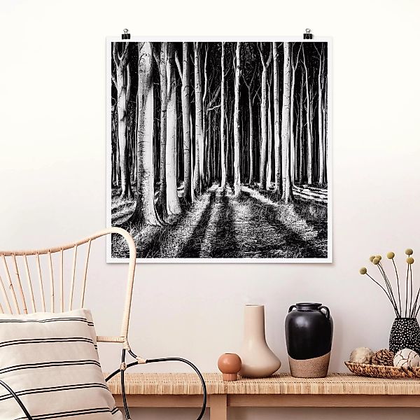 Poster - Quadrat Geisterwald günstig online kaufen