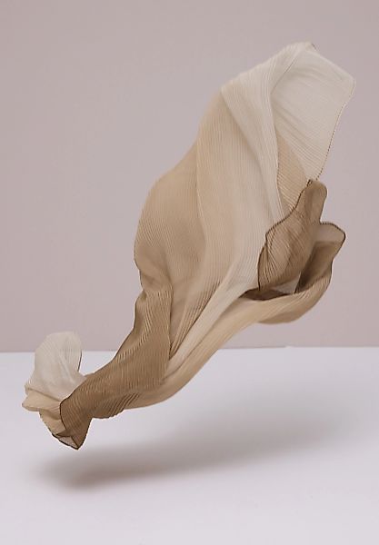 STREET ONE Loop mit Farbverlauf günstig online kaufen