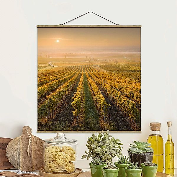 Stoffbild Landschaft mit Posterleisten - Quadrat Herbstliche Weinberge bei günstig online kaufen