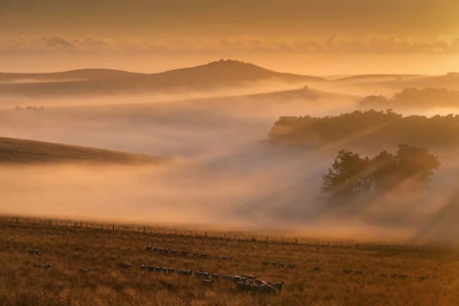 Papermoon Fototapete »Nebel in Landschaft« günstig online kaufen