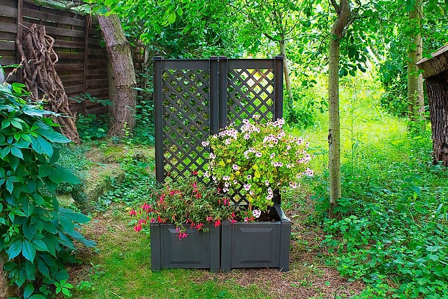 KHW Spalier, (1 St.), mit Pflanzkasten, BxTxH: 43x43x140 cm günstig online kaufen