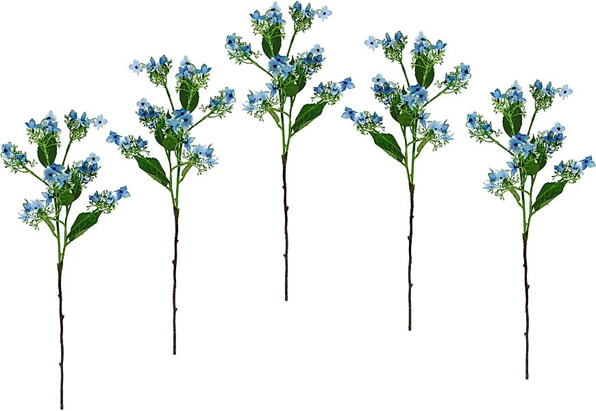Kunstblume Blütenzweig, I.GE.A., Höhe 60 cm, günstig online kaufen