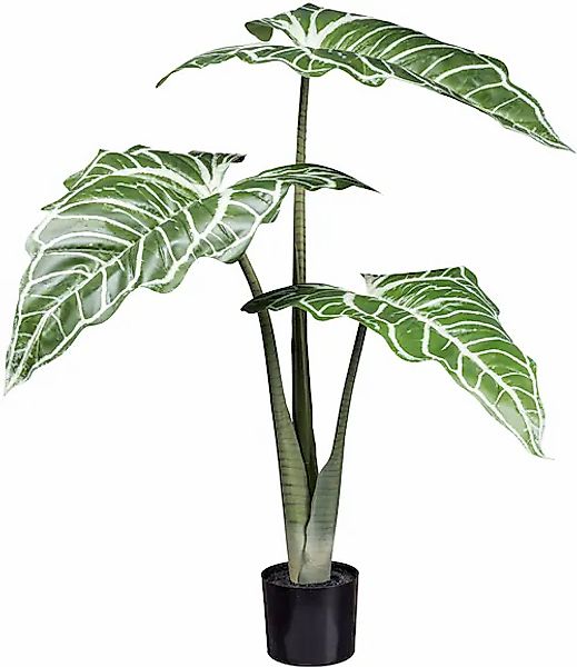 Creativ green Künstliche Zimmerpflanze »Colocasia White Lava«, mit außergew günstig online kaufen