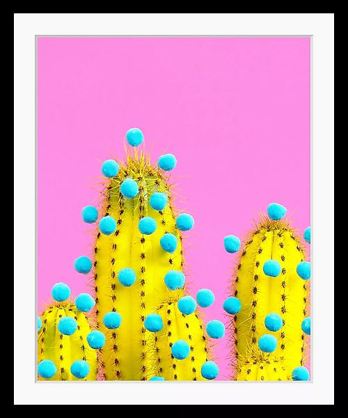 queence Bild "Livia", Pflanzen, Kaktus, gerahmt günstig online kaufen
