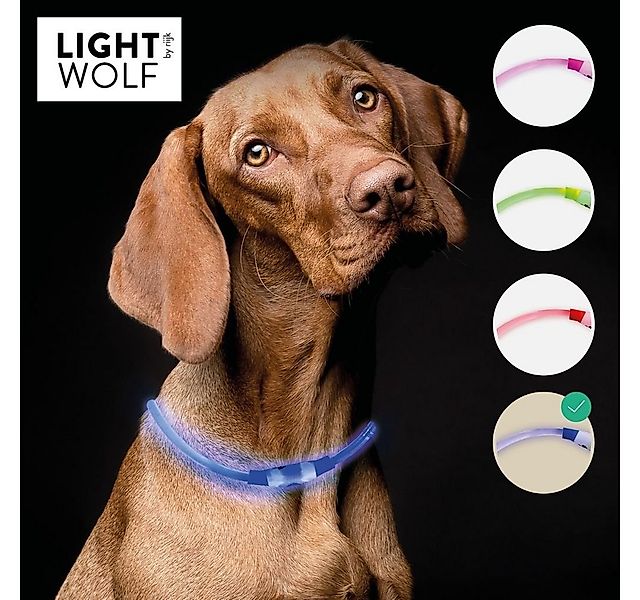 riijk Leuchthalsband LED Hundehalsband, Kunststoff, individuell einfach mit günstig online kaufen