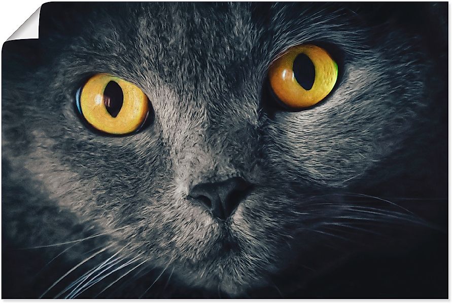 Artland Wandbild »Katzenaugen« Haustiere 1 Stk. tlg. als Alubild, Outdoorbi günstig online kaufen