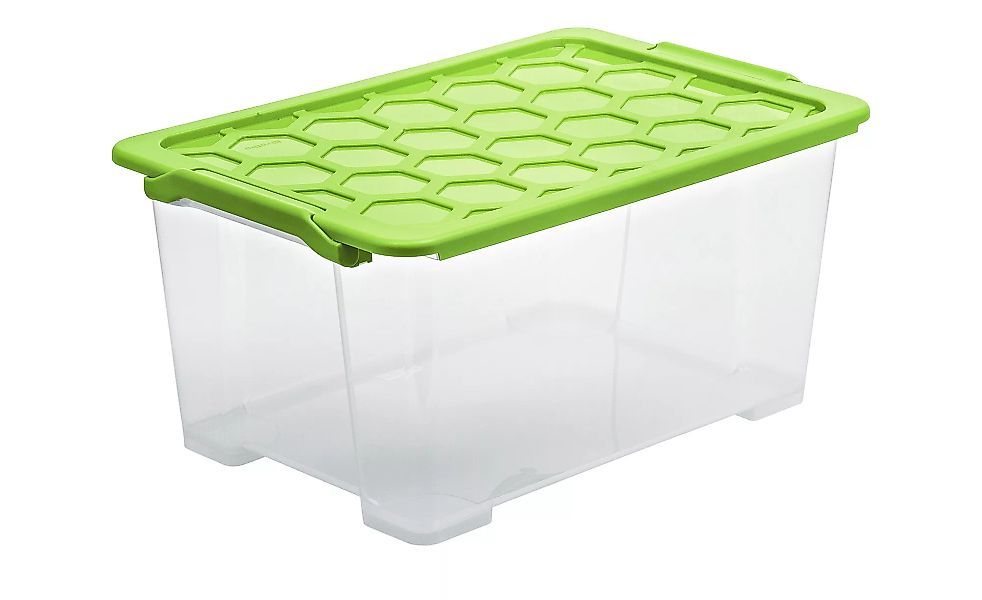 Rotho Aufbewahrungsbox mit Deckel - grün - Kunststoff - 39,5 cm - 28 cm - S günstig online kaufen