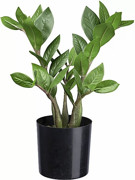 Künstliche Zimmerpflanze Zamifolia Grünpflanze, Creativ green, günstig online kaufen